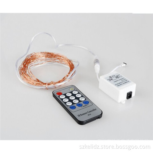 DC 12V Wedding Fairy Light Copper Wire Warm White 100leds 10M